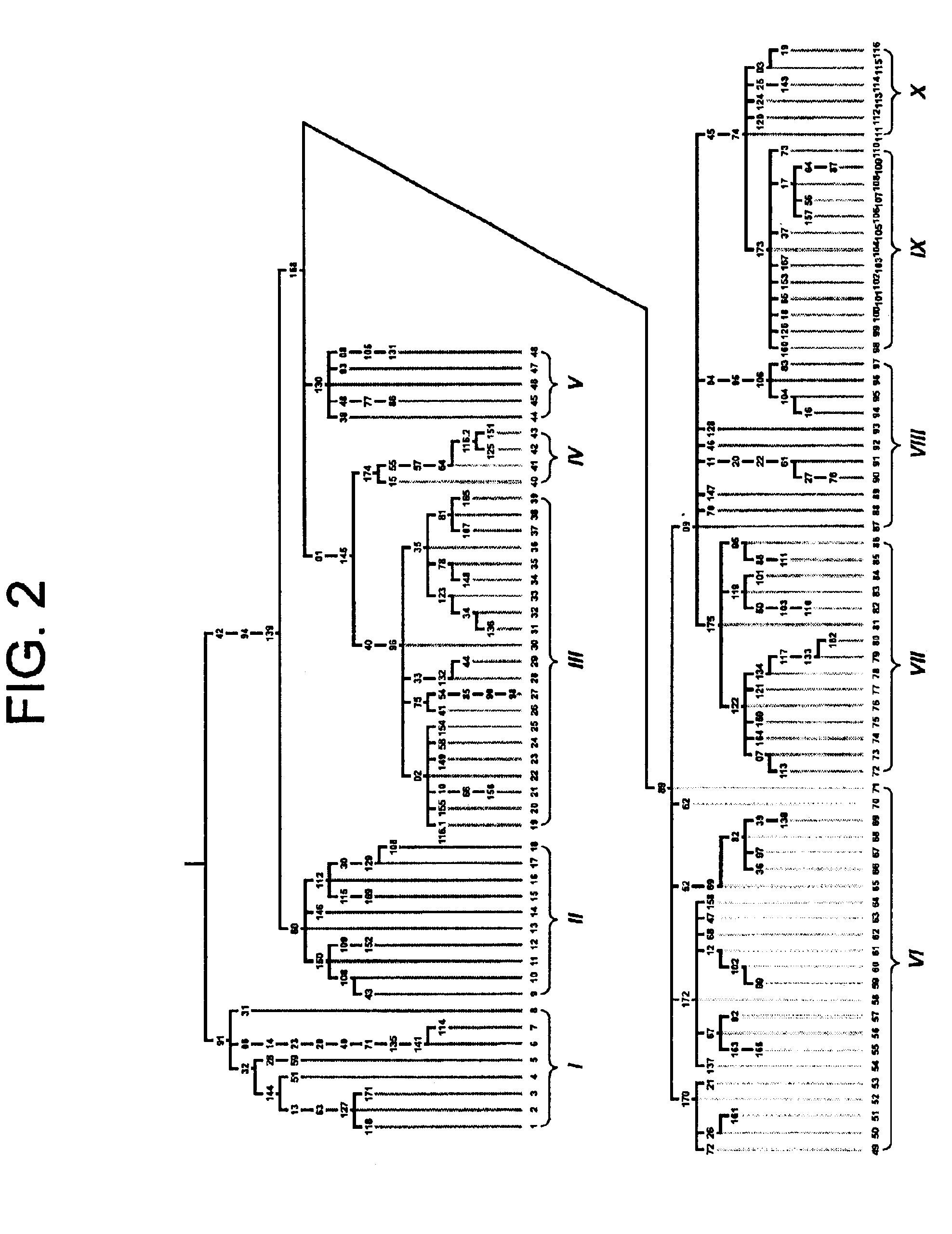 Method for determining genetic affiliation, substructure and gene flow within human populations