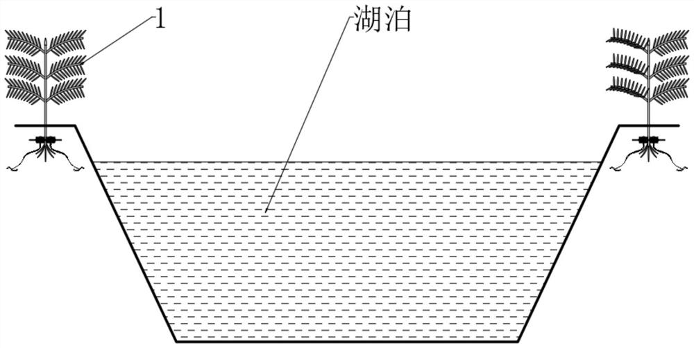 Lake side slope stabilizing and reinforcing device and method based on biological guiding technology