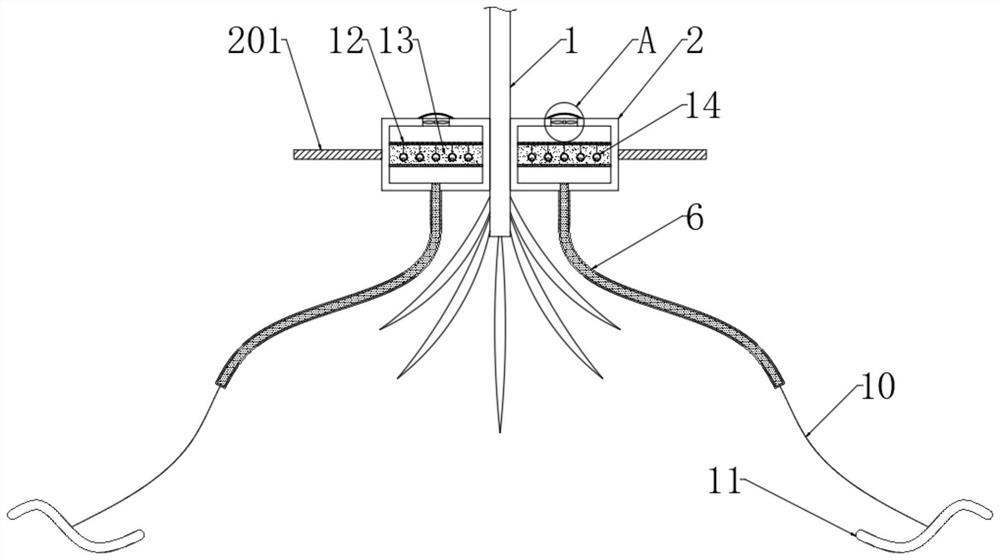 Lake side slope stabilizing and reinforcing device and method based on biological guiding technology