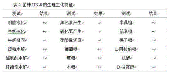 Streptomyces lavendulae and method and application thereof for preparing alpha-glucosidase inhibitor