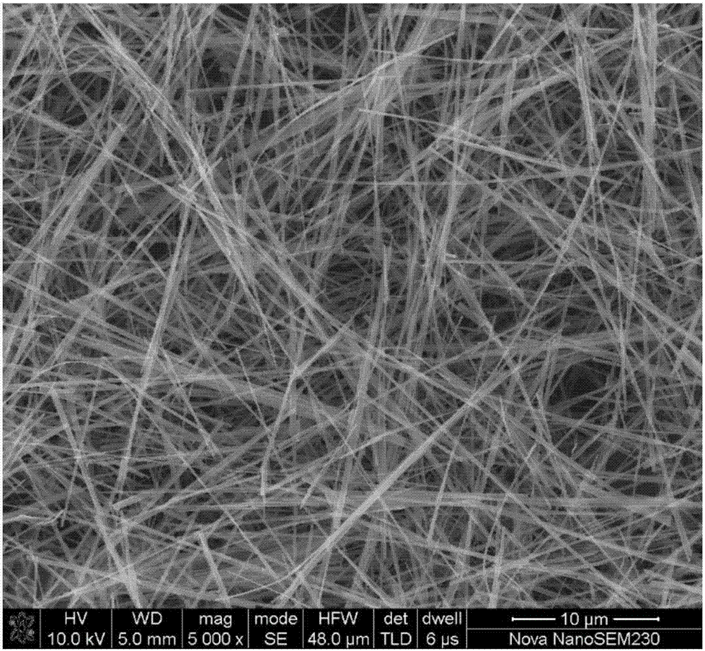 A kind of monoclinic vanadium dioxide nanowire and its preparation method and application
