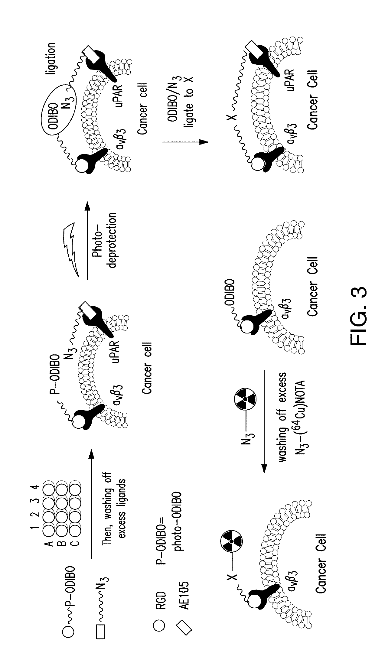 Dimerization strategies and compounds for molecular imaging and/or radioimmunotherapy