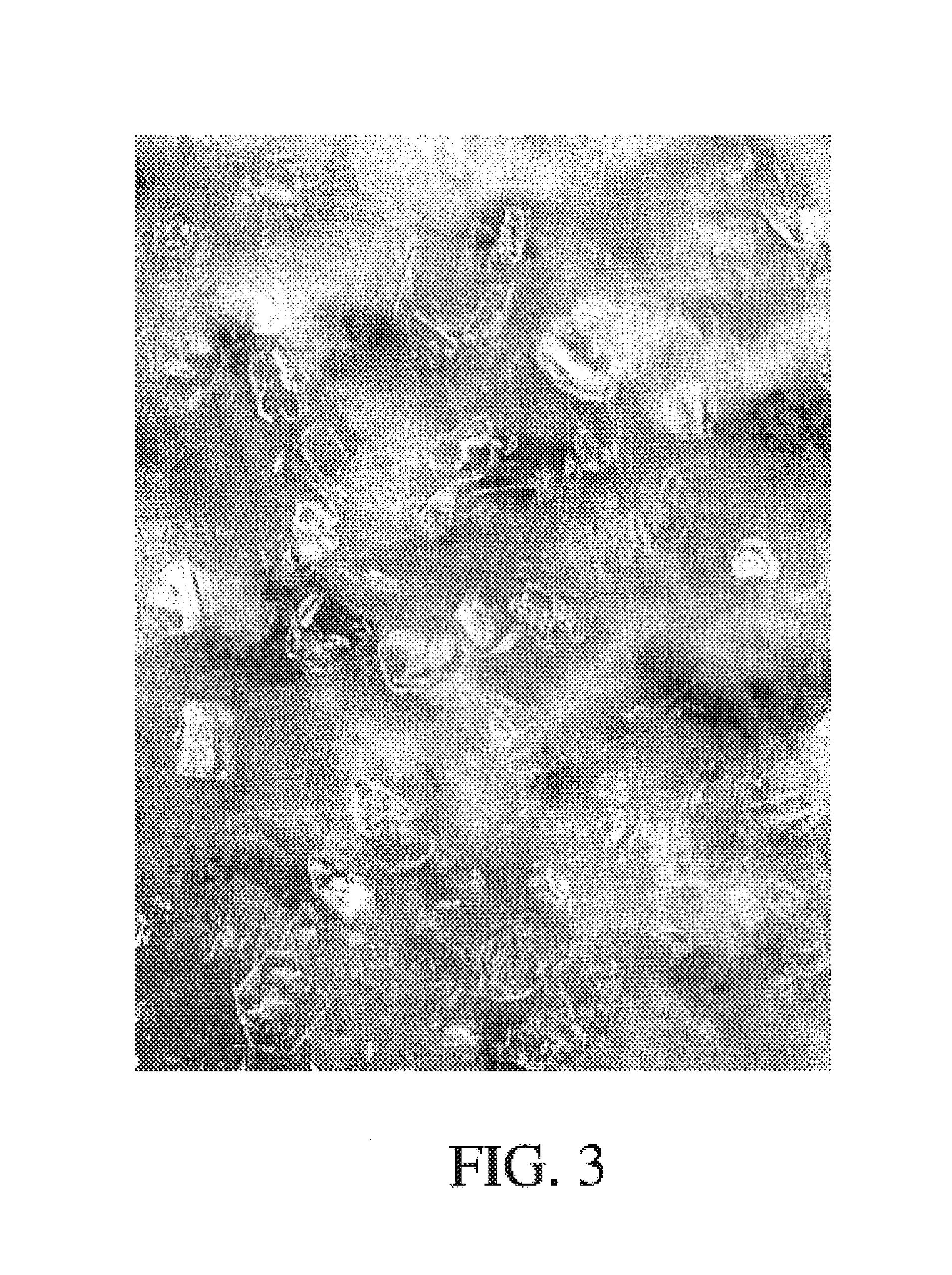 Surface-coated hard material, production method for this, and use of the same