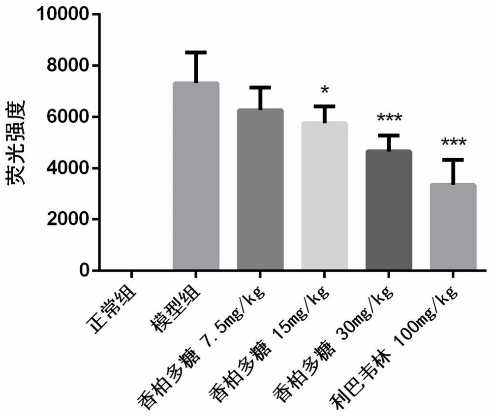 Application of Juniper plant polysaccharide in preparing medicine for preventing and treating viral acute lung injury