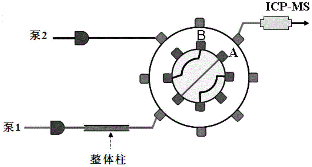 Preparation method and application of hydrophilic methacrylamide polymer monolithic column