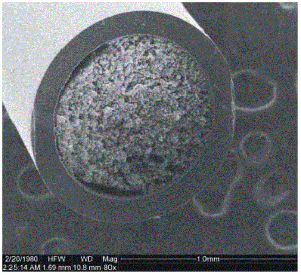 Preparation method and application of hydrophilic methacrylamide polymer monolithic column