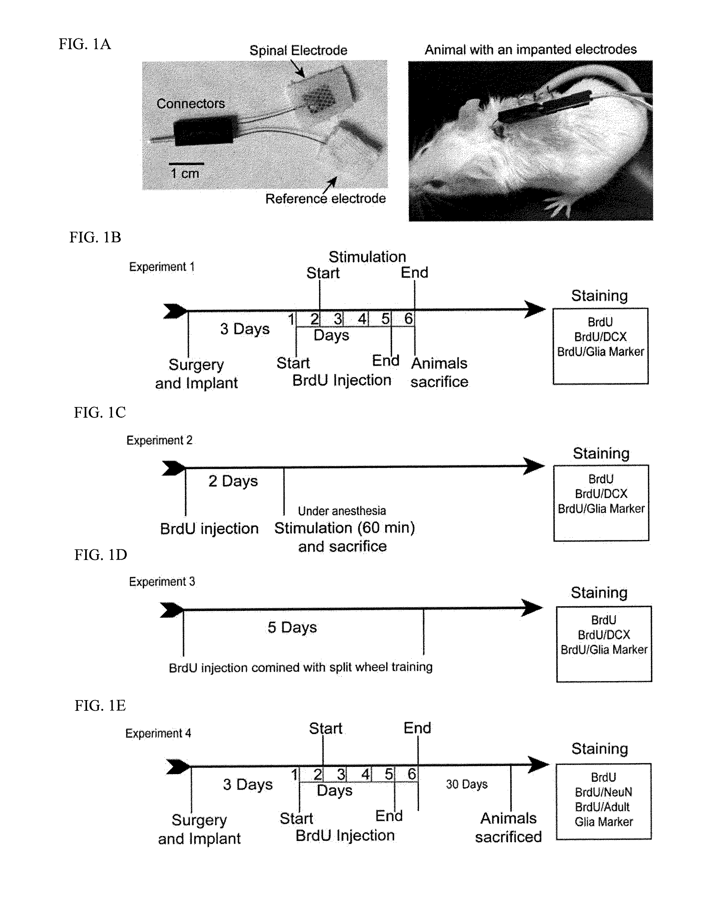 Methods and systems for treatment of spinal disorders using trans-spinal direct current stimulation