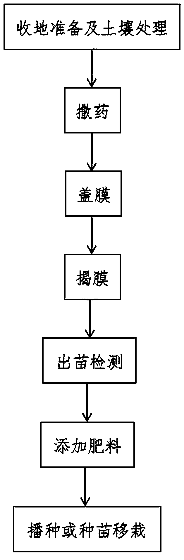 Method for continuously cultivating pseudo-ginseng