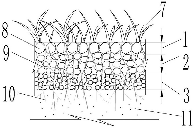 A kind of grass-planting concrete structure based on herbaceous root system structure and its preparation method