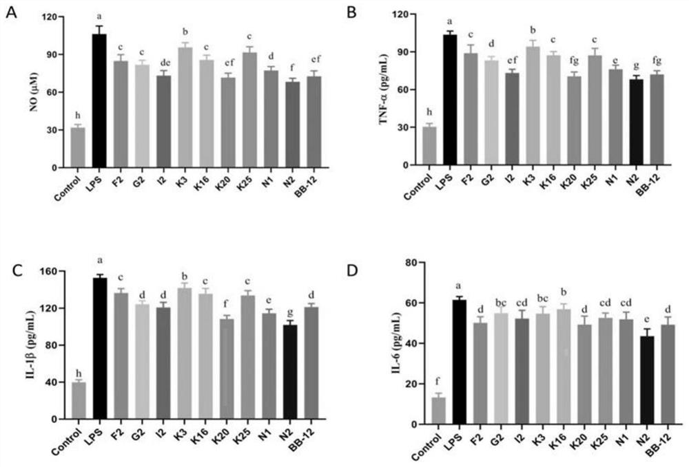 A kind of bifidobacteria that can relieve colitis and its application