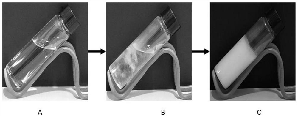 Functional supramolecular aerogel as well as preparation method and application thereof