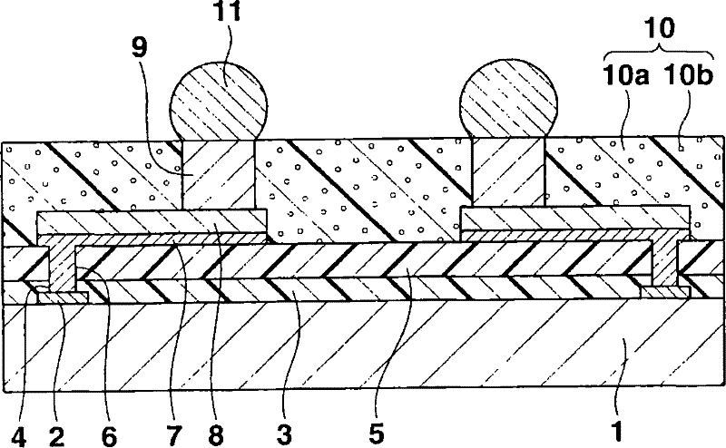 Semiconductor device mixed with magnetic substance powder and its manufacturing method