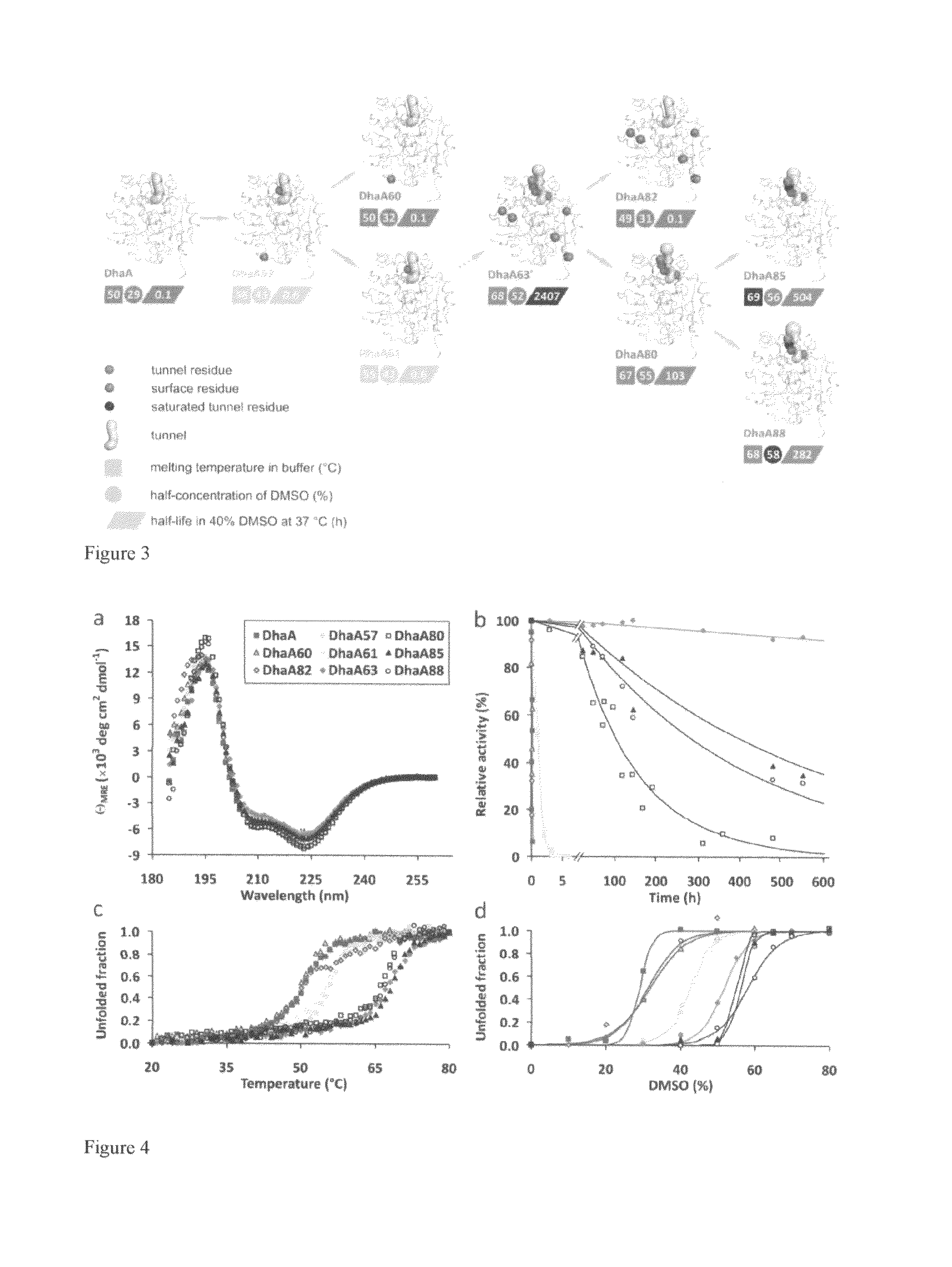 Method of thermostabilization of a protein and/or stabilization towards organic solvents