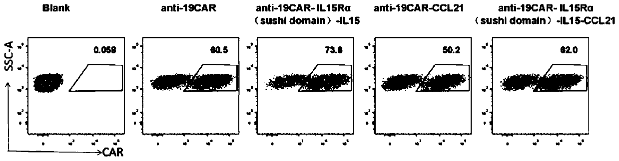 Chimeric antigen receptor-T cells secreting and expressing IL15RA-IL15 fusion proteins and CCL21 chemotactic factors, and applications thereof