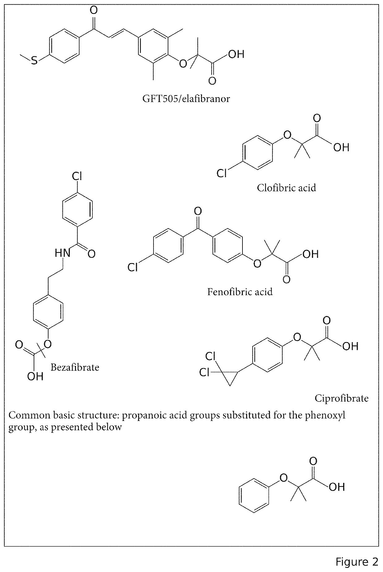 Composition comprising at least one water-soluble pharmaceutically acceptable salt of elafibranor having improved intestinal absorption