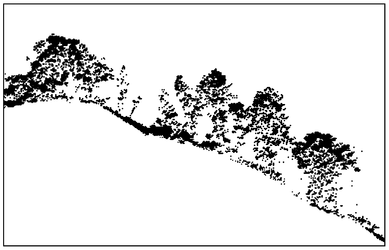 Aboveground vegetation ecological water estimation method based on airborne LiDAR (Light Detection And Ranging) and Sentinel-2A data