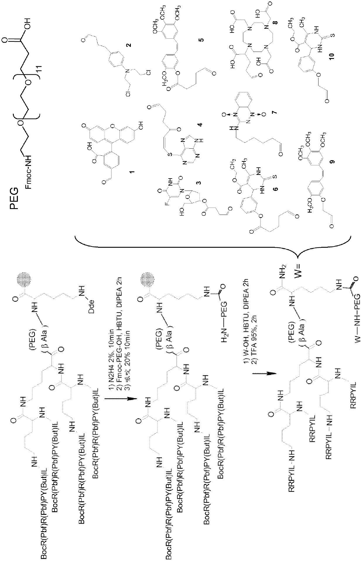 Neurotensin-derived branched peptides and uses thereof