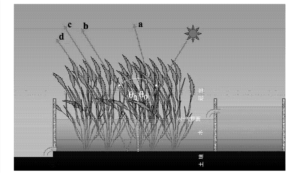 Multi-angle observing system of aquatic vegetation canopy spectra