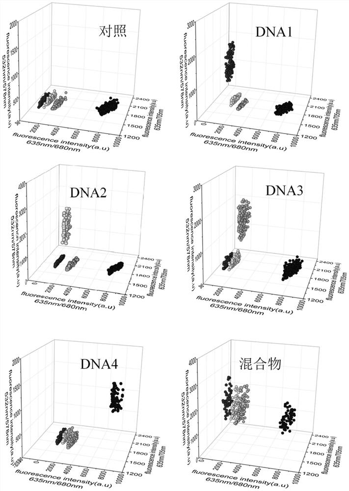A DNA molecular detection method using 3D barcode