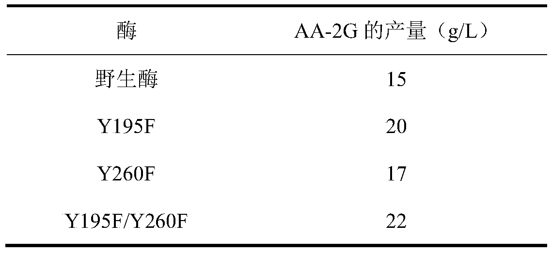 Cyclodextrin glucosyltransferase mutant with improved disproportionation specific activity and AA-2G yield