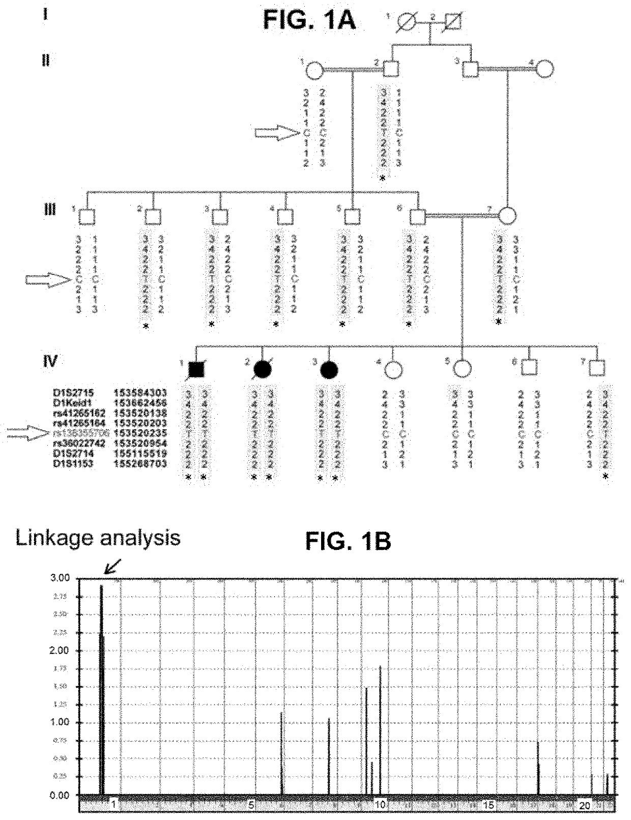 Method for treating pulmonary fibrosis using s100a3 protein