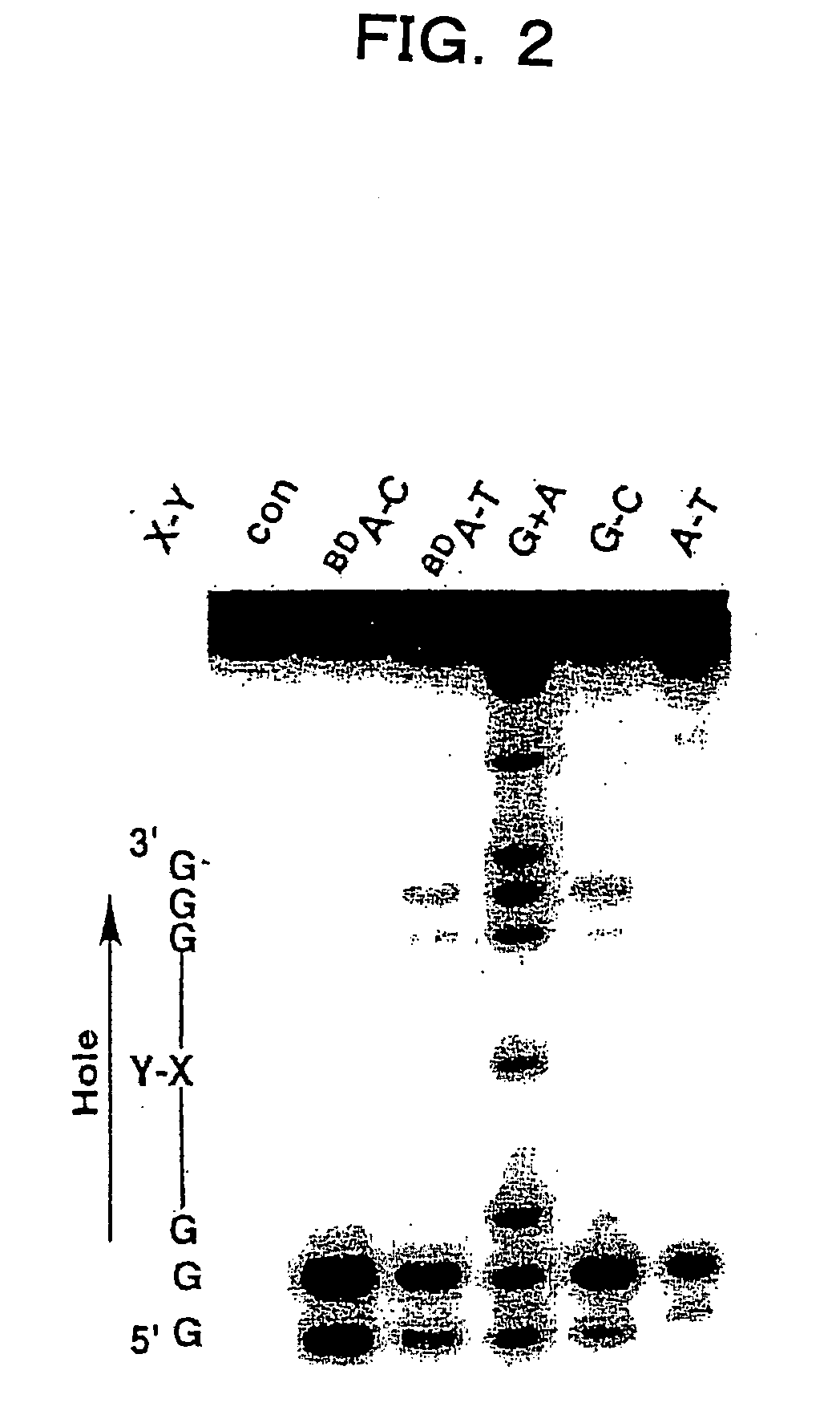 Benzodeazaadenine derivative base and electronic material containing the same