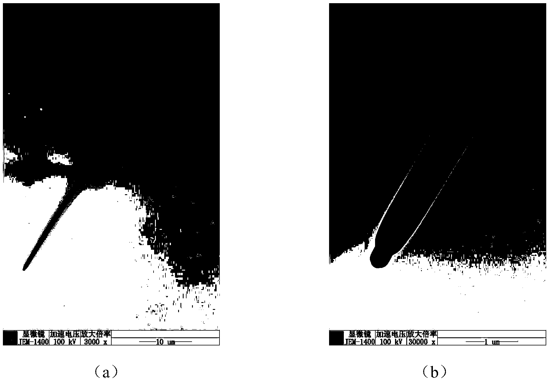 Method for preparing micro/nanoscale carbon capsules