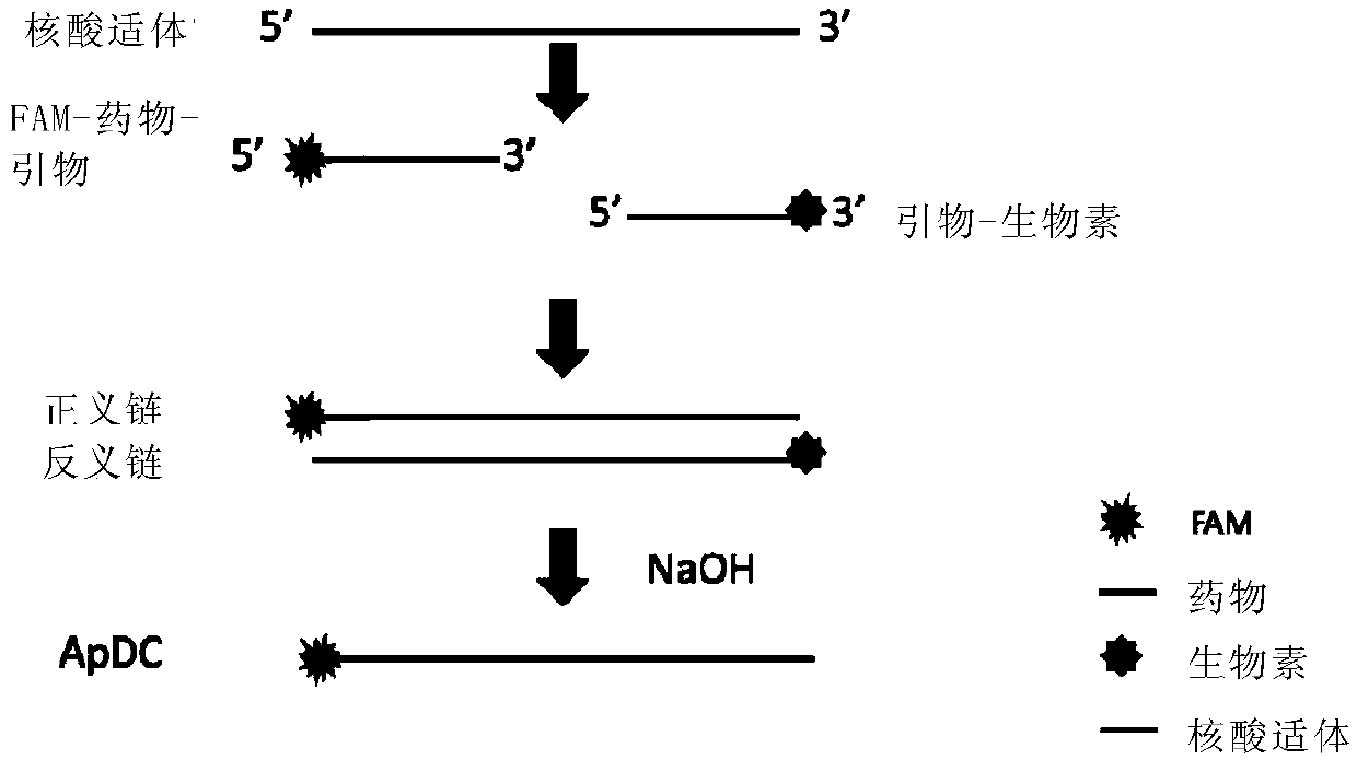 Method for synthesizing nucleic acid drug conjugate