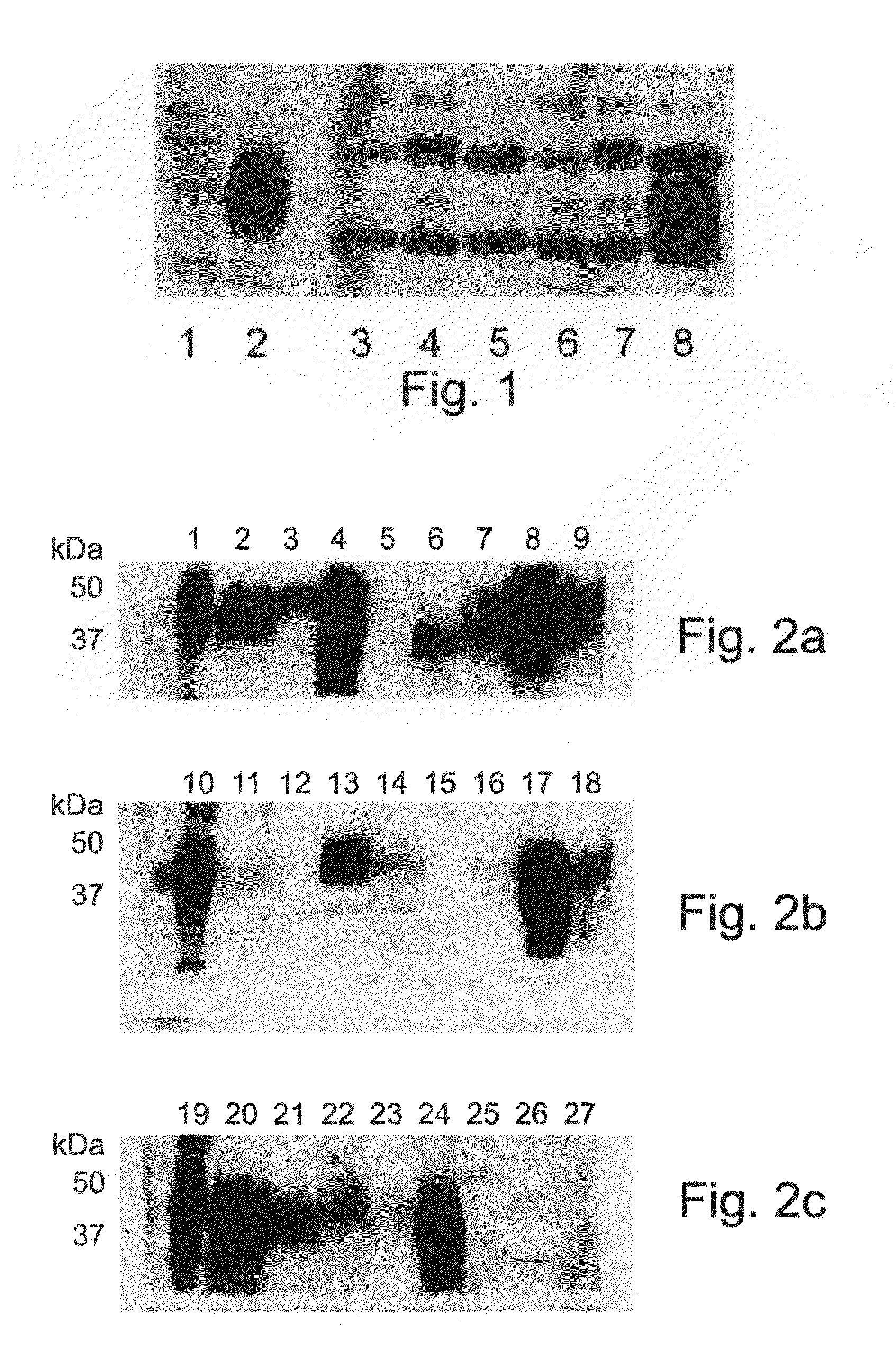 Methods and Kits for Early Detection of Cancer or Predisposition Thereto