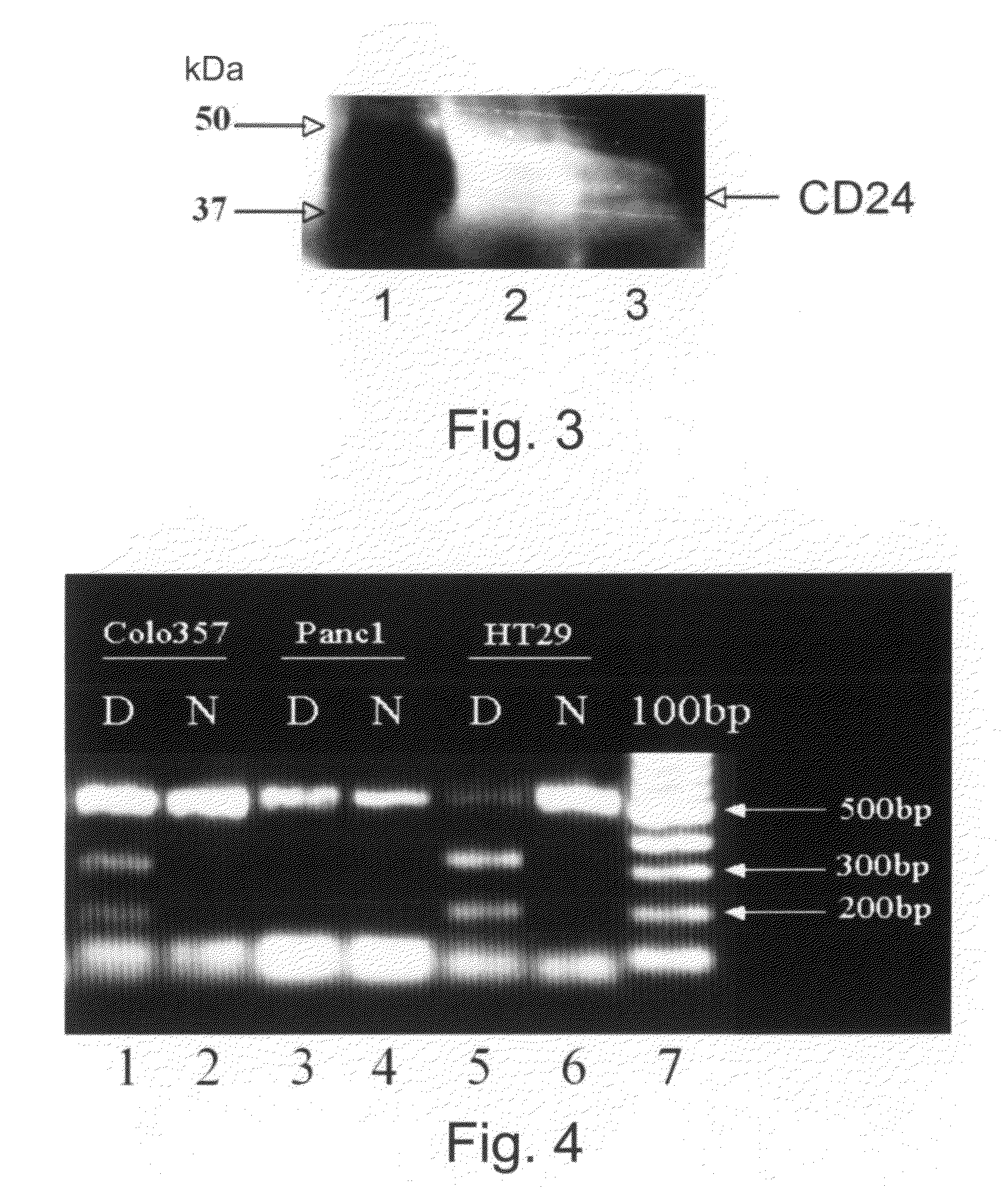 Methods and Kits for Early Detection of Cancer or Predisposition Thereto