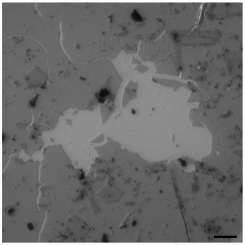 A kind of porphyrin-containing two-dimensional conjugated polymer and its preparation method and application