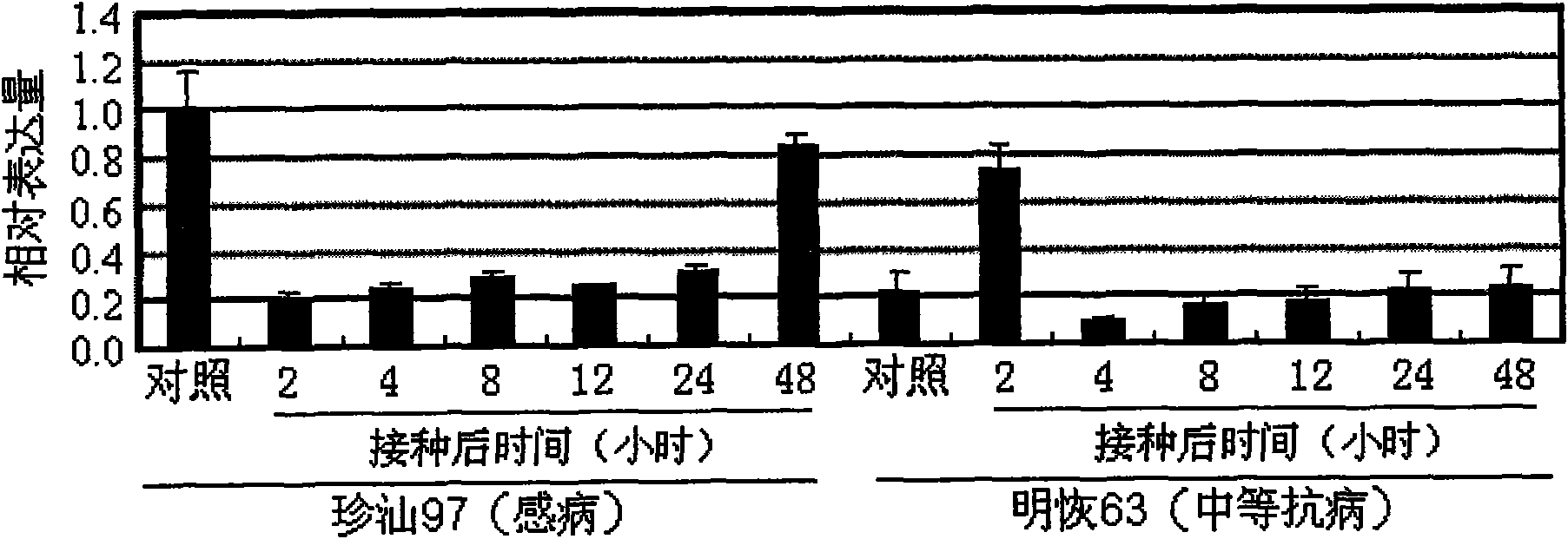 Rice disease resistance related gene GH3-2 and application thereof in breeding of broad spectrum disease-resistant rice