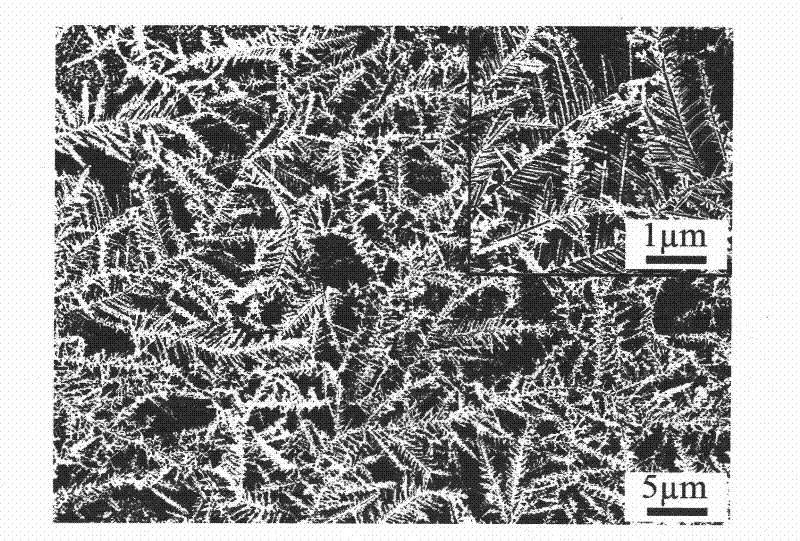 Method for detecting polychlorinated biphenyl by using silver nanometer tree branches and leaves