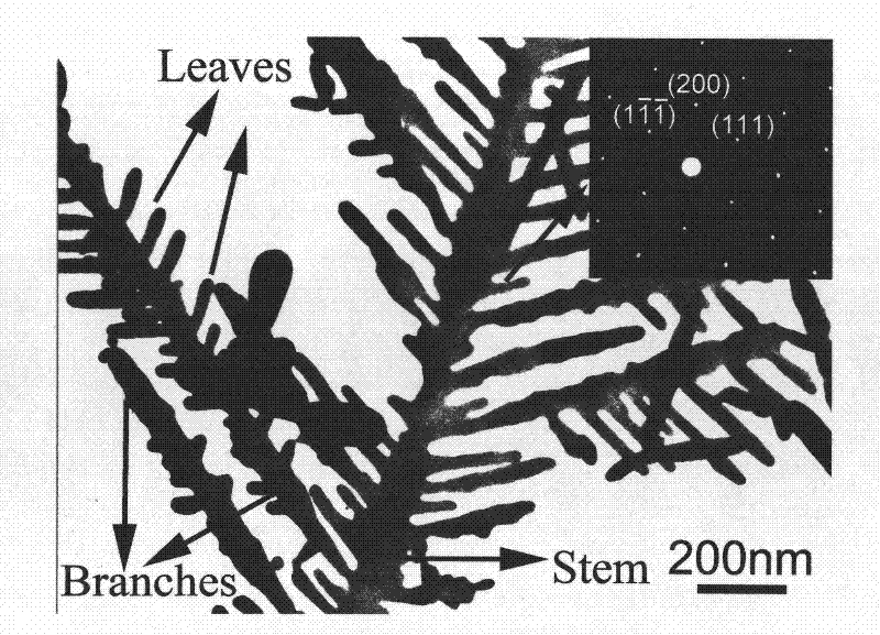 Method for detecting polychlorinated biphenyl by using silver nanometer tree branches and leaves