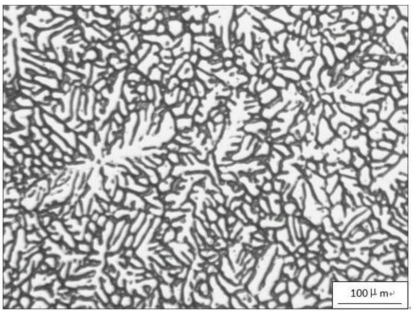 Method for refinement of rare earth-rich phase of rare earth-magnesium alloy