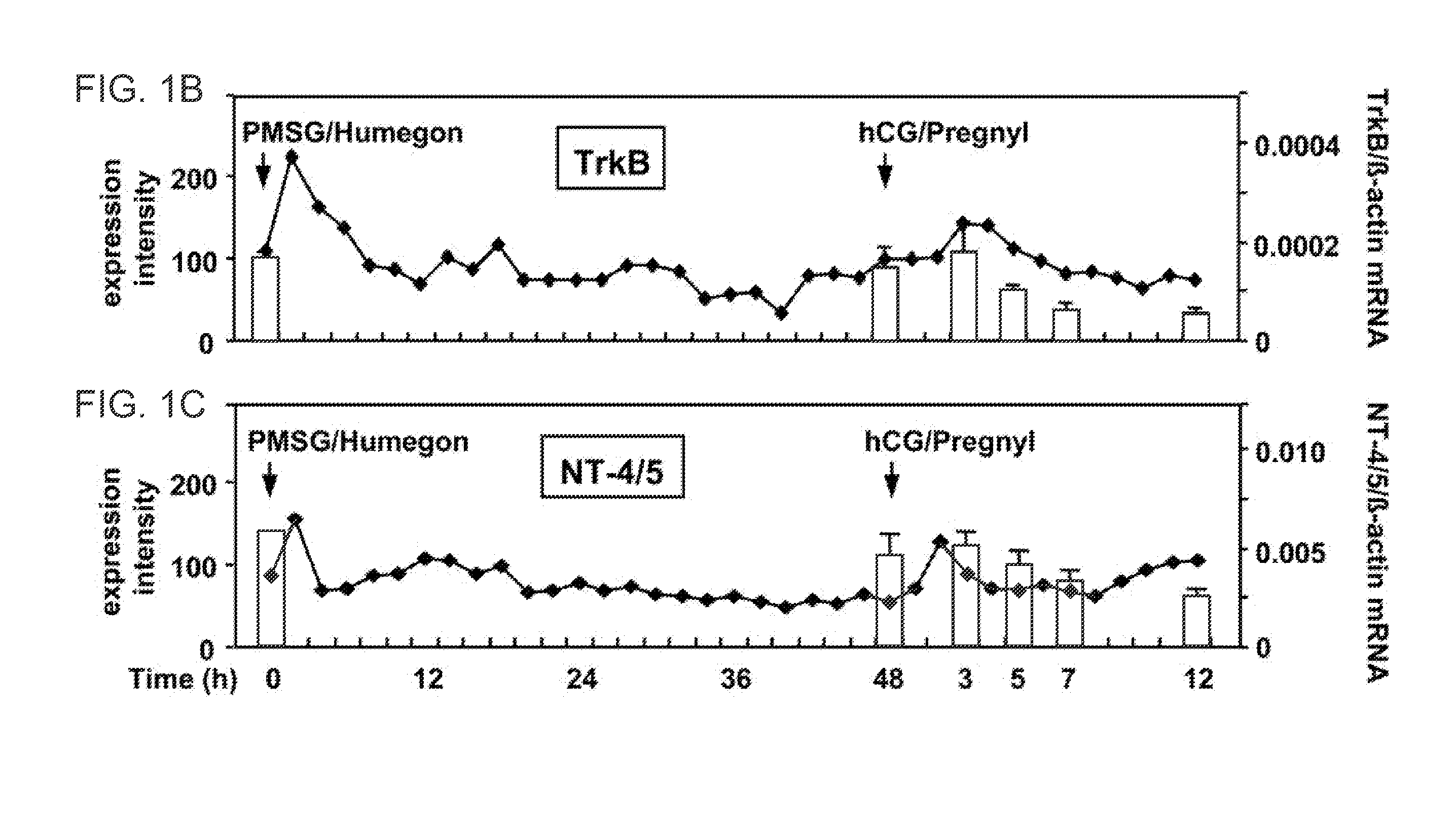 Facilitation of Oocyte, Zygote and Pre-Implantation Embryo Maturation