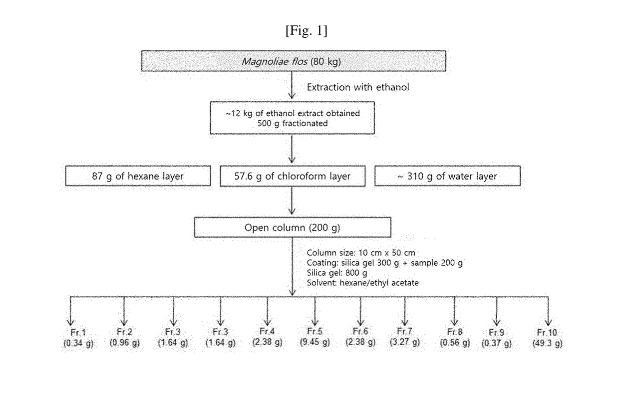 Pharmaceutical composition for preventing and treating chronic obstructive lung disease containing, as active ingredient, magnoliae flos extract, fraction, or active fraction thereof