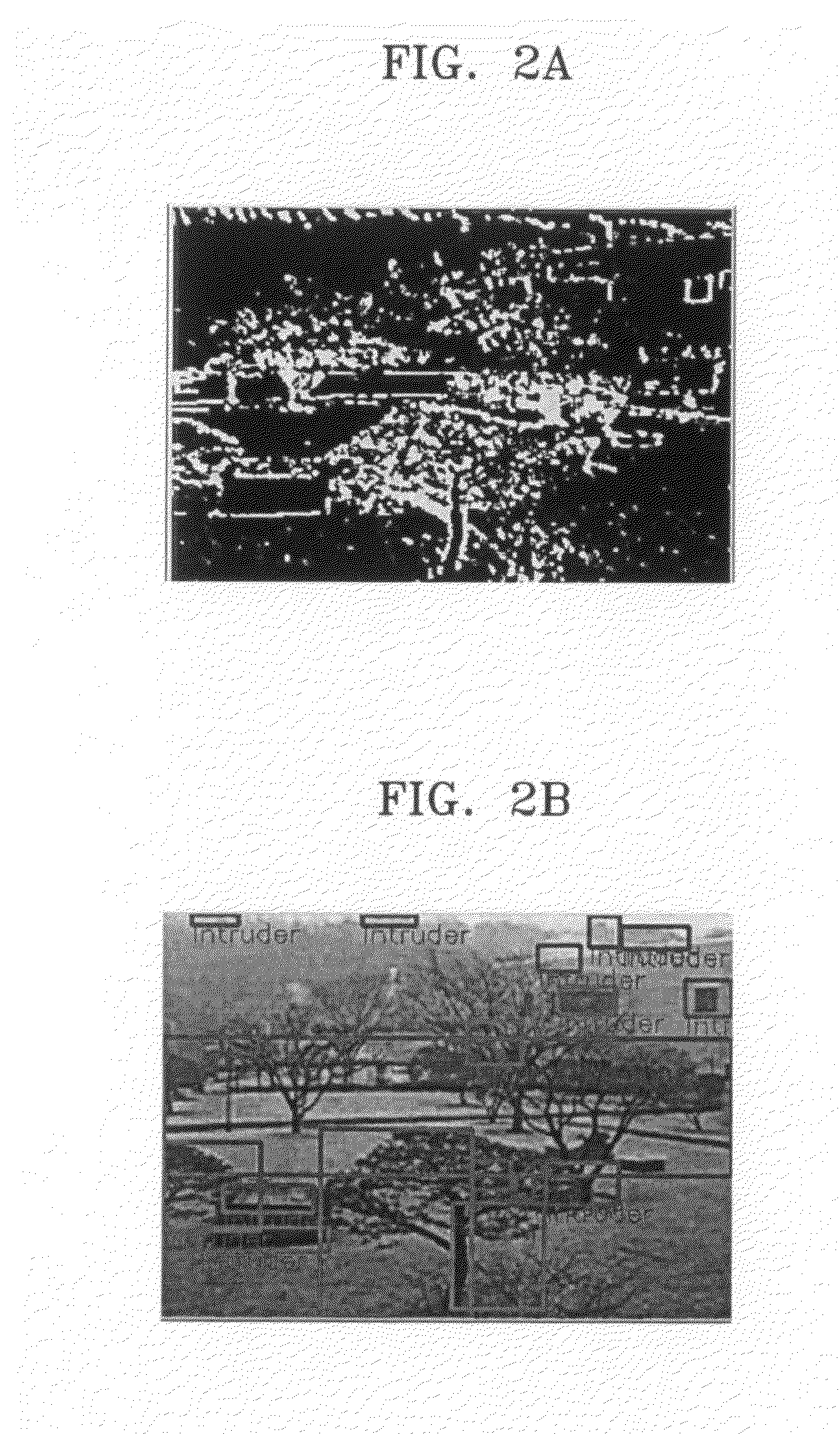 Method, medium, and apparatus with estimation of background change
