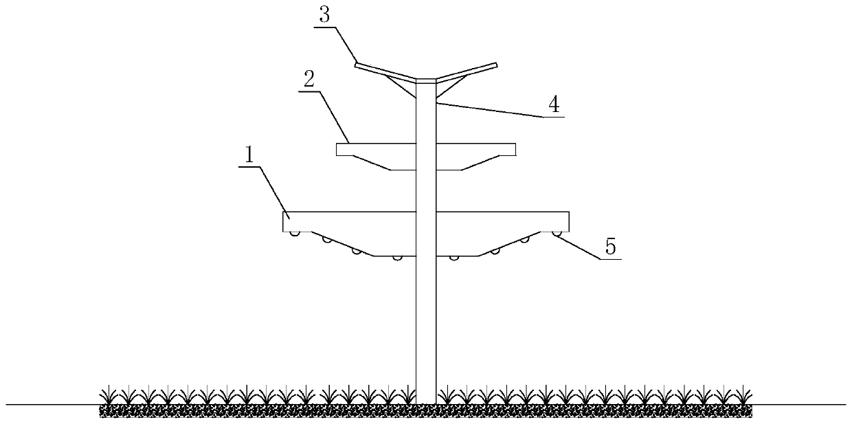 Rainwater garden with illumination function