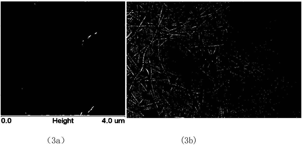 Composite nano hemostatic material based on natural polysaccharide/short peptide and preparation method thereof