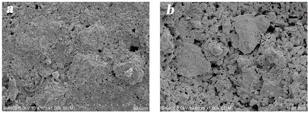 Multifunctional medical biological bone cement