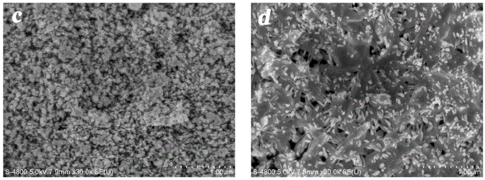 Multifunctional medical biological bone cement