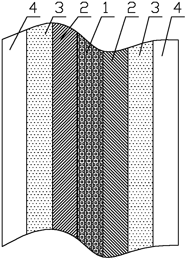 Preparation method for alkaline anion-exchange membrane electrode