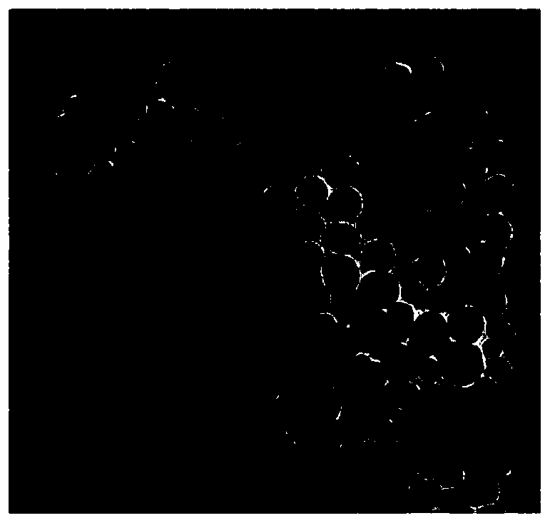 Preparation method and application of sol test paper for greenly and rapidly detecting sulfur ions