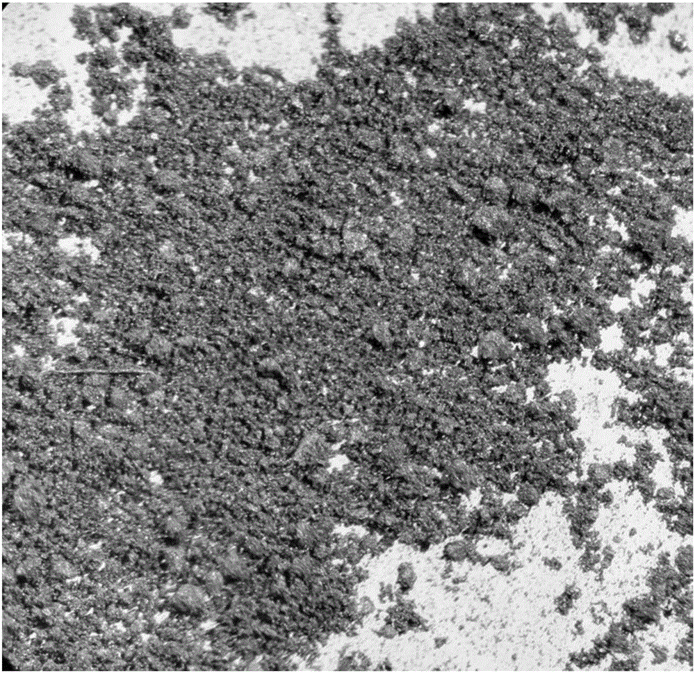 Preparation method and application of hydroxy ferric sulfate sludge-based charcoal