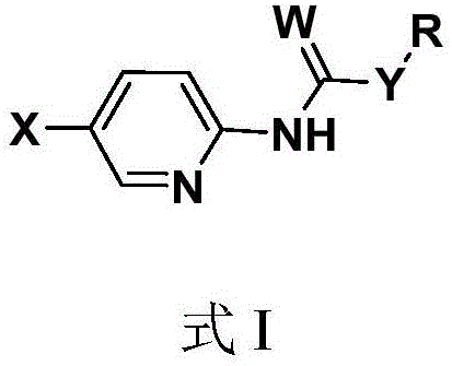 Picolinamide compounds as well as preparation method application of picolinamide compounds