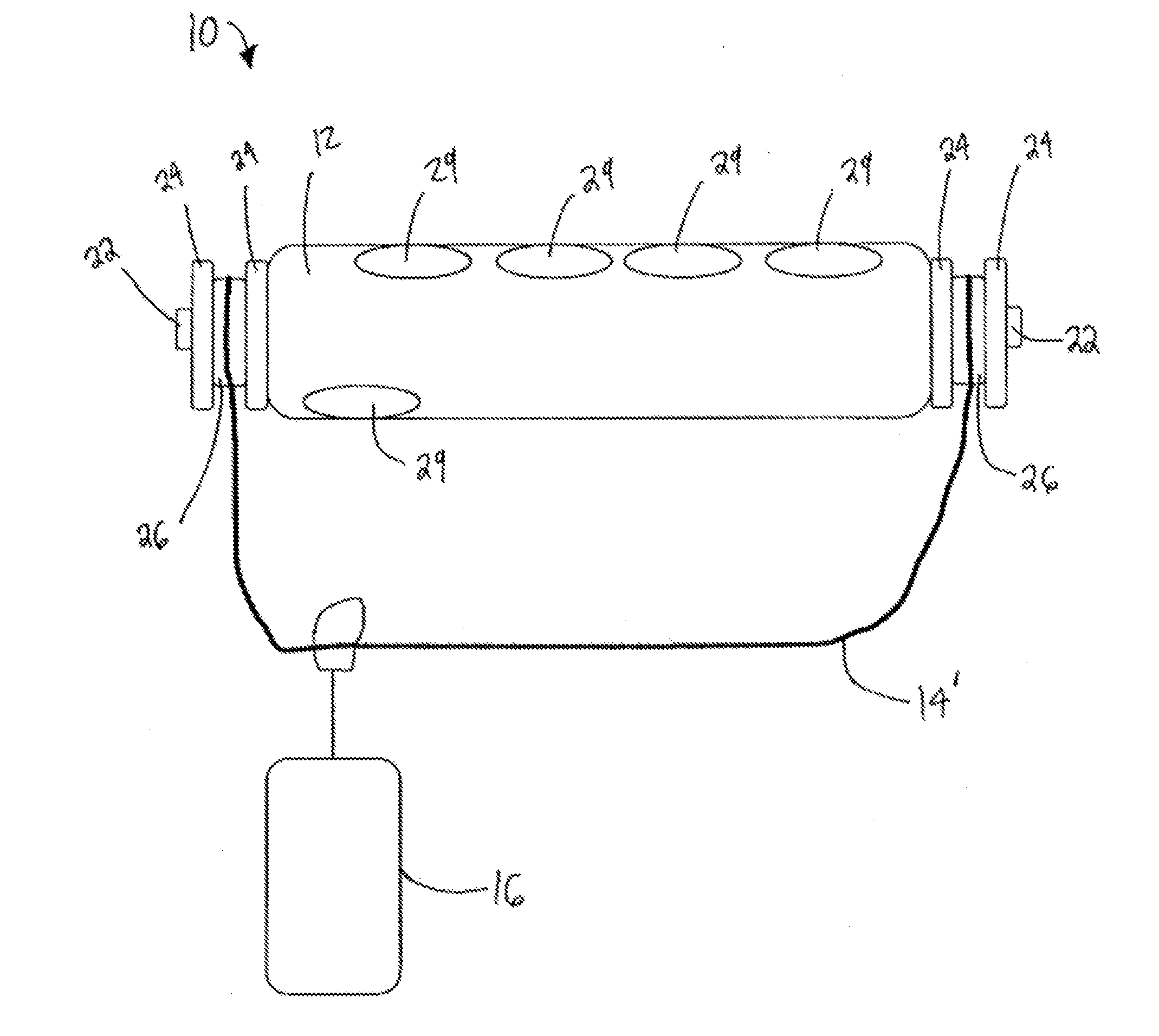 Fish Retaining and Transporting Assemblies and Methods of Using the Same