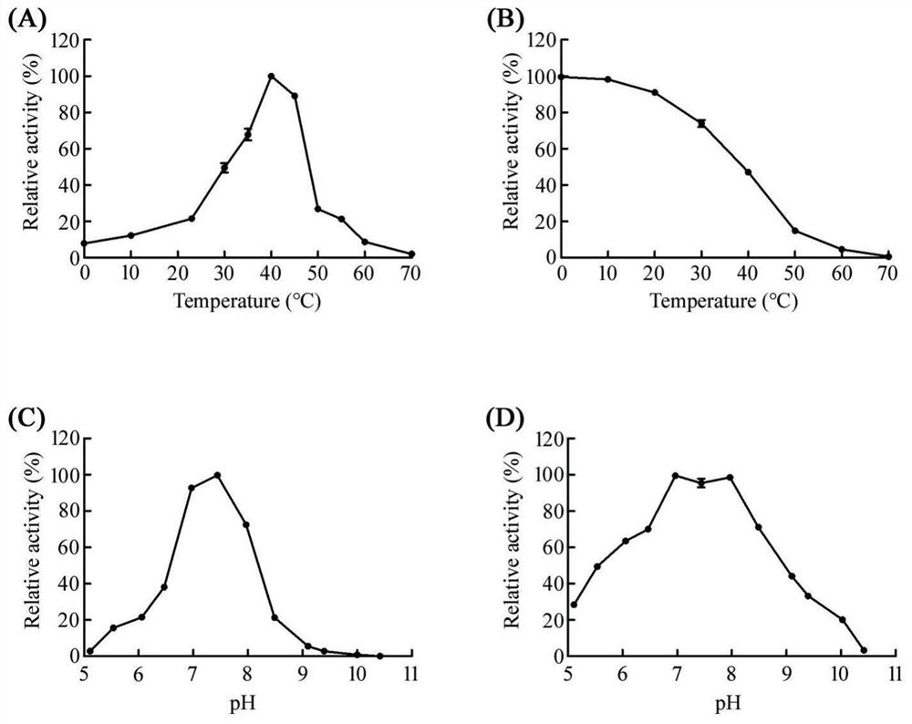 Novel beta-galactosidase and application thereof in degrading lactose in milk