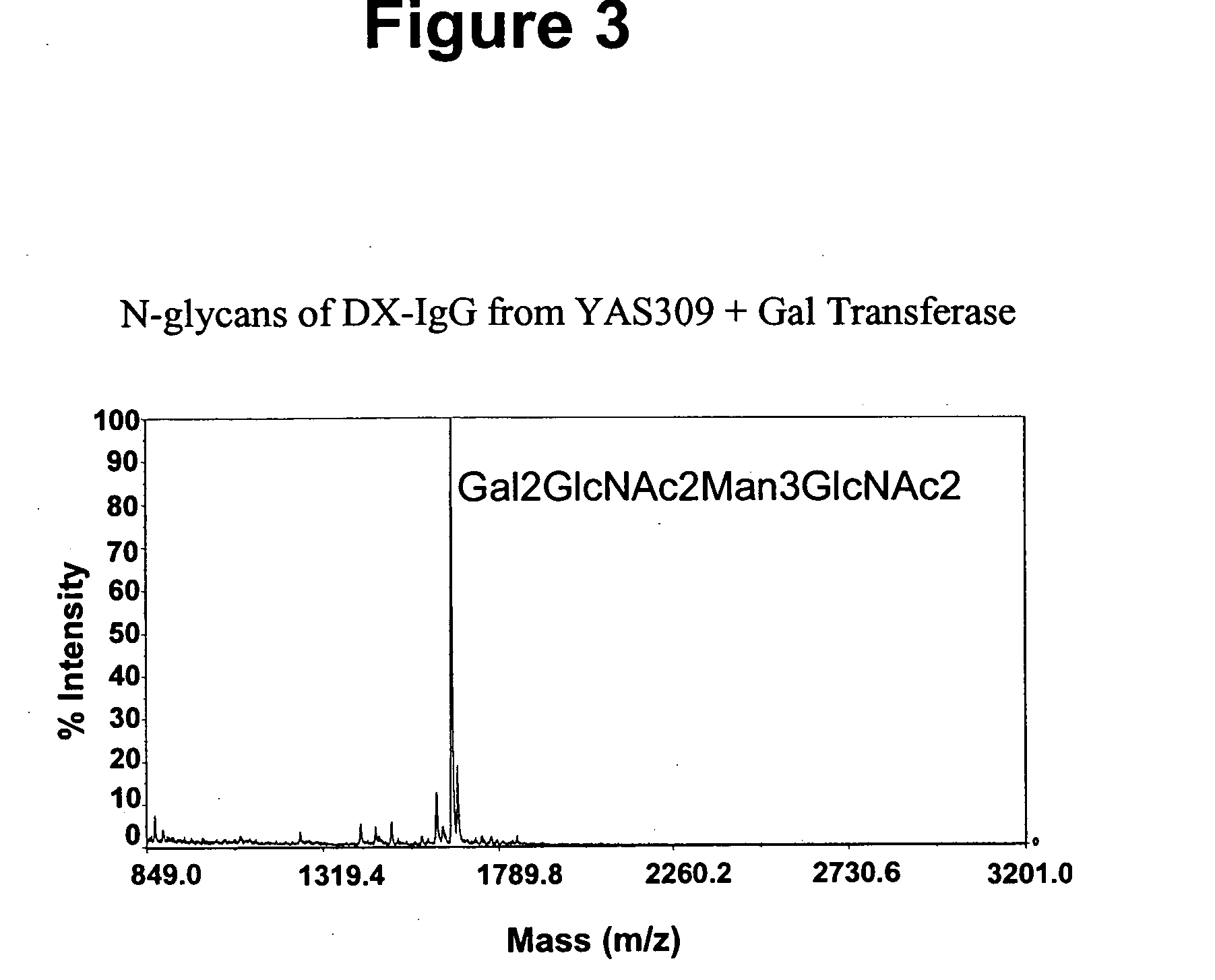 Immunoglobulins comprising predominantly a Gal2GlcNAc2Man3GlcNAc2 glycoform