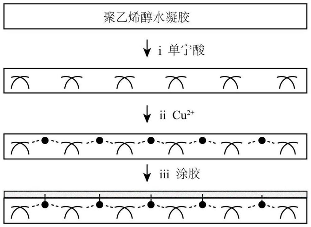 A transparent antifouling patch and its preparation method and application